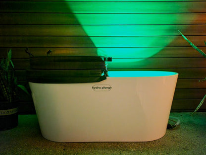 Minimalist luxury acrylic hydro plunge tub design